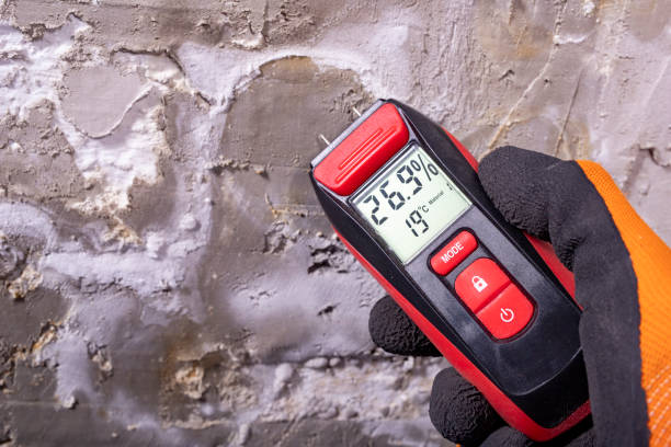 Best Emergency Mold Removal  in Bolivar, TN