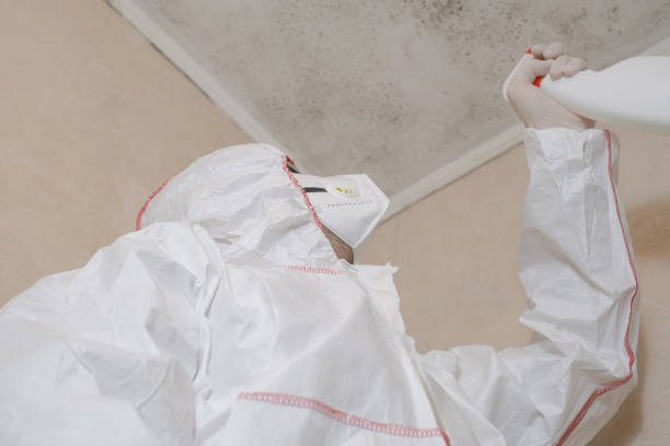 Best Crawl Space Mold Removal  in Bolivar, TN